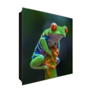  Schlüsselkasten 'Rotaugen Frosch' 30x30 Glas, inkl. Haken Schlüsselbrett Schlüssel-Box Design Aufbewahrung