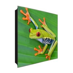  Schlüsselkasten 'Rotaugenlaubfrosch' 30x30 Glas, inkl. Haken Schlüsselbrett Schlüssel-Box Design Aufbewahrung