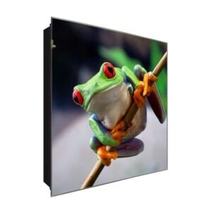  Schlüsselkasten 'Rotaugenlaubfrosch' 30x30 Glas, inkl. Haken Schlüsselbrett Schlüssel-Box Design Aufbewahrung