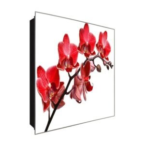  Schlüsselkasten 'Rote Orchideen' 30x30 Glas, inkl. Haken Schlüsselbrett Schlüssel-Box Design Aufbewahrung