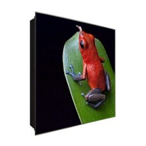  Schlüsselkasten 'Roter Frosch' 30x30 Glas, inkl. Haken Schlüsselbrett Schlüssel-Box Design Aufbewahrung