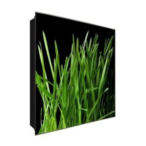  Schlüsselkasten 'Ruhiger Grashalm' 30x30 Glas, inkl. Haken Schlüsselbrett Schlüssel-Box Design Aufbewahrung