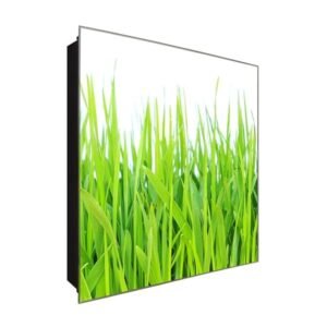  Schlüsselkasten 'Saftiger Rasen' 30x30 Glas, inkl. Haken Schlüsselbrett Schlüssel-Box Design Aufbewahrung