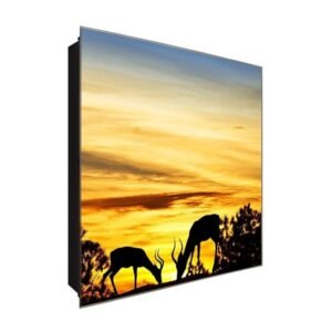  Schlüsselkasten 'Savanen im Licht' 30x30 Glas, inkl. Haken Schlüsselbrett Schlüssel-Box Design Aufbewahrung