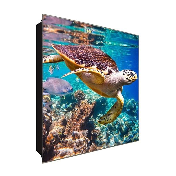 Schlüsselkasten 'Schildkröte im Ozean' 30x30 Glas, inkl. Haken Schlüsselbrett Schlüssel-Box Design Aufbewahrung