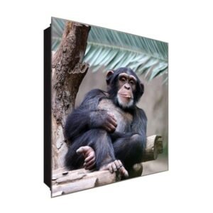  Schlüsselkasten 'Schimpanse relaxt' 30x30 Glas, inkl. Haken Schlüsselbrett Schlüssel-Box Design Aufbewahrung