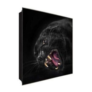  Schlüsselkasten 'Schwarzer Puma ' 30x30 Glas, inkl. Haken Schlüsselbrett Schlüssel-Box Design Aufbewahrung
