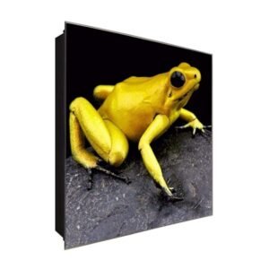  Schlüsselkasten 'Senfgelber Frosch ' 30x30 Glas, inkl. Haken Schlüsselbrett Schlüssel-Box Design Aufbewahrung