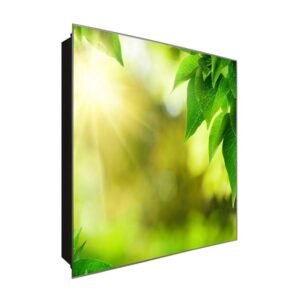  Schlüsselkasten 'Sicht am Blatt' 30x30 Glas, inkl. Haken Schlüsselbrett Schlüssel-Box Design Aufbewahrung