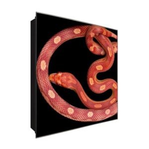  Schlüsselkasten 'Sneak Preview' 30x30 Glas, inkl. Haken Schlüsselbrett Schlüssel-Box Design Aufbewahrung