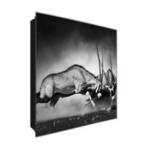  Schlüsselkasten 'Spießbock Kampf' 30x30 Glas, inkl. Haken Schlüsselbrett Schlüssel-Box Design Aufbewahrung