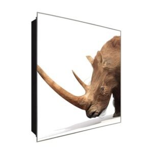  Schlüsselkasten 'Spitzmaulnashorn ' 30x30 Glas, inkl. Haken Schlüsselbrett Schlüssel-Box Design Aufbewahrung