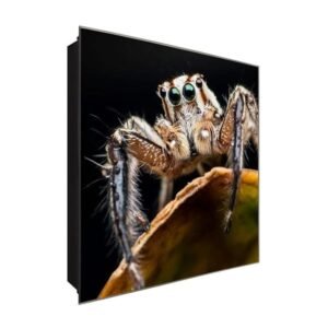  Schlüsselkasten 'Springende Spinne' 30x30 Glas, inkl. Haken Schlüsselbrett Schlüssel-Box Design Aufbewahrung