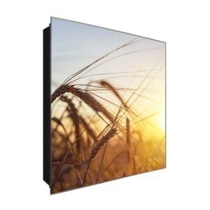  Schlüsselkasten 'Sträucher' 30x30 Glas, inkl. Haken Schlüsselbrett Schlüssel-Box Design Aufbewahrung