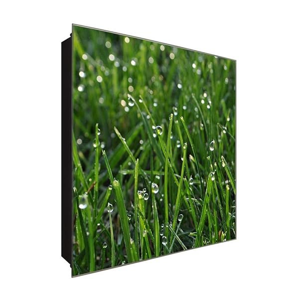Schlüsselkasten 'Tau auf Grass' 30x30 Glas, inkl. Haken Schlüsselbrett Schlüssel-Box Design Aufbewahrung