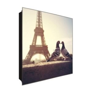  Schlüsselkasten 'Tauben am Eifelturm' 30x30 Glas, inkl. Haken Schlüsselbrett Schlüssel-Box Design Aufbewahrung