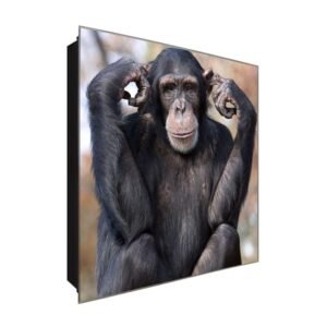  Schlüsselkasten 'Tauber AFFE' 30x30 Glas, inkl. Haken Schlüsselbrett Schlüssel-Box Design Aufbewahrung