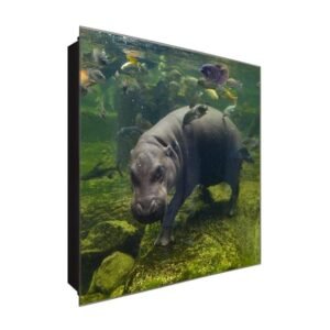  Schlüsselkasten 'Tauchender Hippo' 30x30 Glas, inkl. Haken Schlüsselbrett Schlüssel-Box Design Aufbewahrung