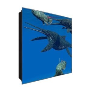  Schlüsselkasten 'Tiere im Meer' 30x30 Glas, inkl. Haken Schlüsselbrett Schlüssel-Box Design Aufbewahrung