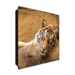  Schlüsselkasten 'Tiger' 30x30 Glas, inkl. Haken Schlüsselbrett Schlüssel-Box Design Aufbewahrung
