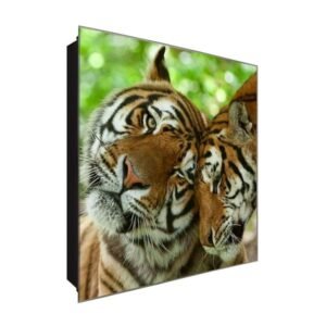  Schlüsselkasten 'Tiger' 30x30 Glas, inkl. Haken Schlüsselbrett Schlüssel-Box Design Aufbewahrung