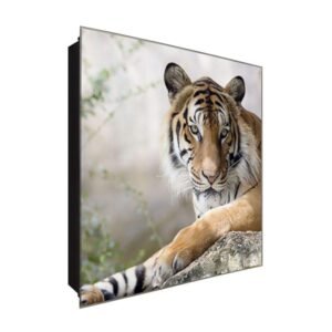  Schlüsselkasten 'Tiger' 30x30 Glas, inkl. Haken Schlüsselbrett Schlüssel-Box Design Aufbewahrung
