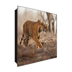  Schlüsselkasten 'Tiger' 30x30 Glas, inkl. Haken Schlüsselbrett Schlüssel-Box Design Aufbewahrung