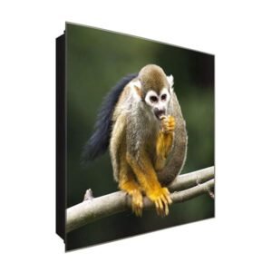  Schlüsselkasten 'Totenkopfaffen' 30x30 Glas, inkl. Haken Schlüsselbrett Schlüssel-Box Design Aufbewahrung