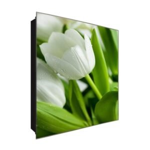  Schlüsselkasten 'Tulpe nach dem Regen' 30x30 Glas, inkl. Haken Schlüsselbrett Schlüssel-Box Design Aufbewahrung