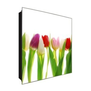  Schlüsselkasten 'Tulpen' 30x30 Glas, inkl. Haken Schlüsselbrett Schlüssel-Box Design Aufbewahrung