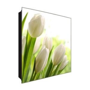  Schlüsselkasten 'Tulpentraum' 30x30 Glas, inkl. Haken Schlüsselbrett Schlüssel-Box Design Aufbewahrung