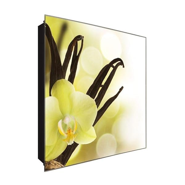 Schlüsselkasten 'Vanilla Orchidee' 30x30 Glas, inkl. Haken Schlüsselbrett Schlüssel-Box Design Aufbewahrung