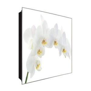  Schlüsselkasten 'Viele Orchideen' 30x30 Glas, inkl. Haken Schlüsselbrett Schlüssel-Box Design Aufbewahrung