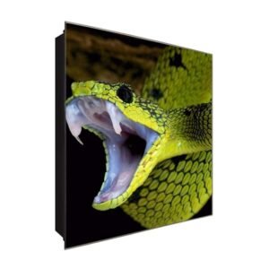  Schlüsselkasten 'Viper Attack' 30x30 Glas, inkl. Haken Schlüsselbrett Schlüssel-Box Design Aufbewahrung