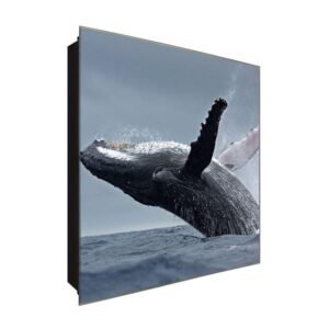  Schlüsselkasten 'Wal' 30x30 Glas, inkl. Haken Schlüsselbrett Schlüssel-Box Design Aufbewahrung