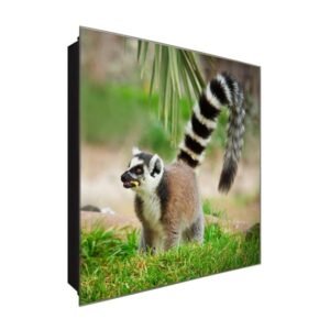  Schlüsselkasten 'Waschbär am Essen' 30x30 Glas, inkl. Haken Schlüsselbrett Schlüssel-Box Design Aufbewahrung