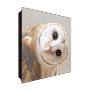  Schlüsselkasten 'Weiße Schleiereule' 30x30 Glas, inkl. Haken Schlüsselbrett Schlüssel-Box Design Aufbewahrung