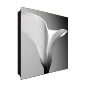  Schlüsselkasten 'Weißer Blumenkopf' 30x30 Glas, inkl. Haken Schlüsselbrett Schlüssel-Box Design Aufbewahrung