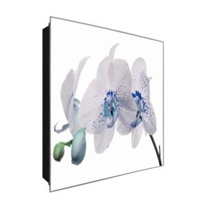  Schlüsselkasten 'Weißer Traum' 30x30 Glas, inkl. Haken Schlüsselbrett Schlüssel-Box Design Aufbewahrung