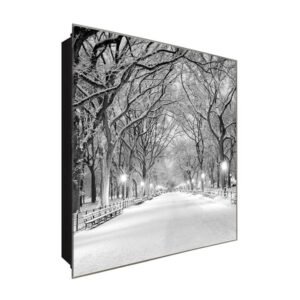  Schlüsselkasten 'Weißer Weg' 30x30 Glas, inkl. Haken Schlüsselbrett Schlüssel-Box Design Aufbewahrung