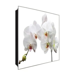 Schlüsselkasten 'Weisse Orchidee' 30x30 Glas, inkl. Haken Schlüsselbrett Schlüssel-Box Design Aufbewahrung