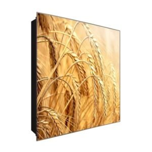  Schlüsselkasten 'Weizennähre' 30x30 Glas, inkl. Haken Schlüsselbrett Schlüssel-Box Design Aufbewahrung