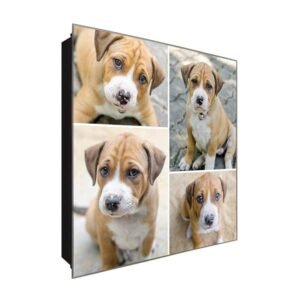  Schlüsselkasten 'Welpen Collage' 30x30 Glas, inkl. Haken Schlüsselbrett Schlüssel-Box Design Aufbewahrung