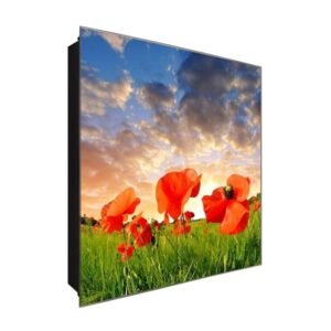  Schlüsselkasten 'Wolkiges Feld' 30x30 Glas, inkl. Haken Schlüsselbrett Schlüssel-Box Design Aufbewahrung