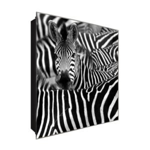  Schlüsselkasten 'Zebra Herde' 30x30 Glas, inkl. Haken Schlüsselbrett Schlüssel-Box Design Aufbewahrung