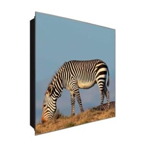  Schlüsselkasten 'Zebra in Afrika' 30x30 Glas, inkl. Haken Schlüsselbrett Schlüssel-Box Design Aufbewahrung