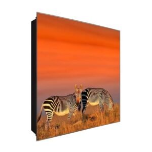  Schlüsselkasten 'Zebras' 30x30 Glas, inkl. Haken Schlüsselbrett Schlüssel-Box Design Aufbewahrung