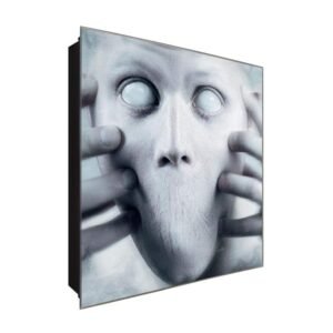  Schlüsselkasten 'Zombie' 30x30 Glas, inkl. Haken Schlüsselbrett Schlüssel-Box Design Aufbewahrung