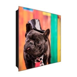  Schlüsselkasten 'Zylinder Mops' 30x30 Glas, inkl. Haken Schlüsselbrett Schlüssel-Box Design Aufbewahrung