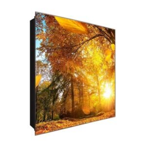  Schlüsselkasten 'herbstlicher Wald' 30x30 Glas, inkl. Haken Schlüsselbrett Schlüssel-Box Design Aufbewahrung